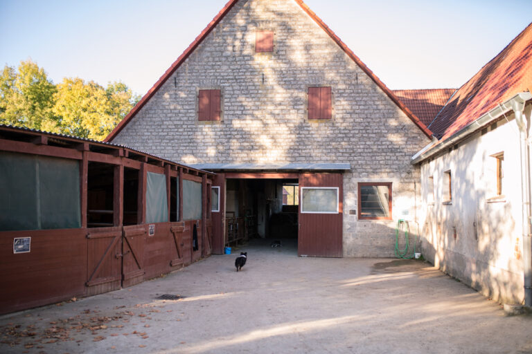 5G7A4679 2kl1 768x512