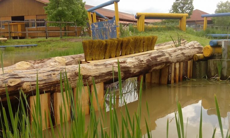 61005478 1200837180084332 2909200199639367680 n1 768x461