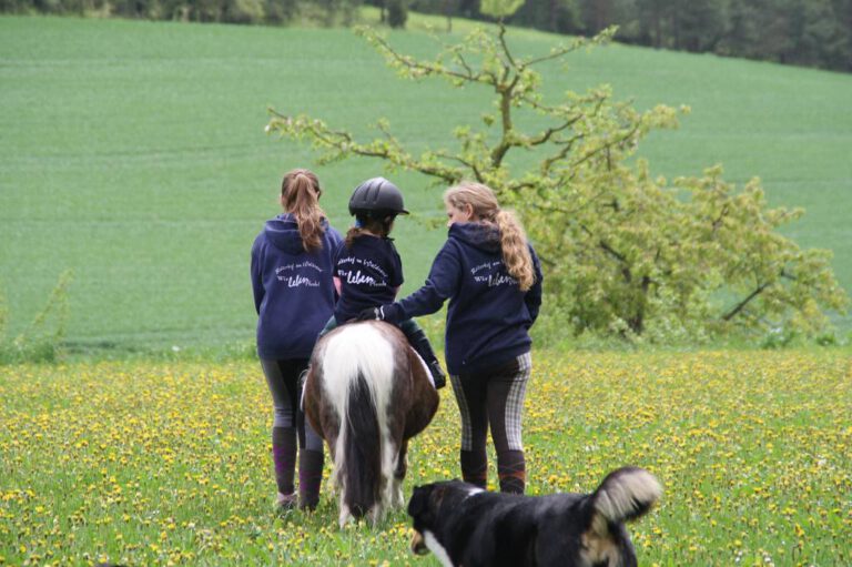 IMG 9862 1024 x 768 768x511