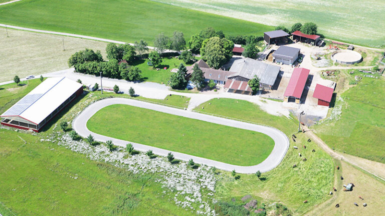 derkernhof 06 gallery kernhof islandpferdegestued1 768x432