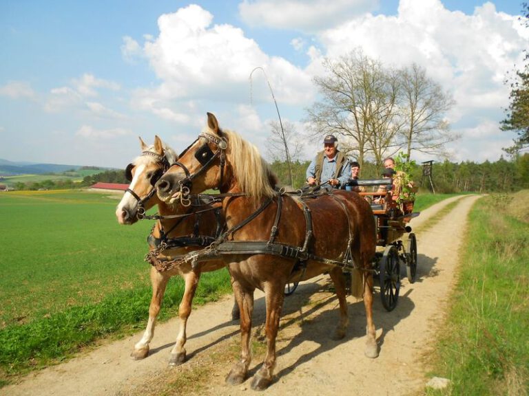 dscn0860 3 8901 768x576