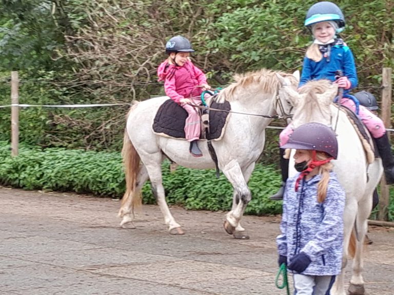 20210929 163936 768x576