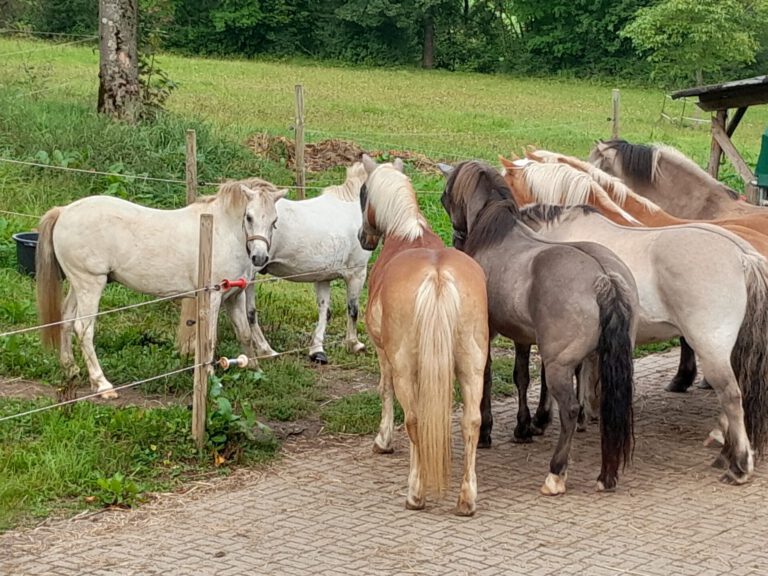 20210917 171328 768x576